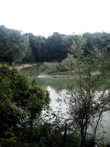 More of the lake in the Forest of Carnelle
